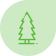 baum