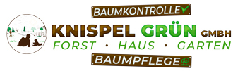 Logo Knispel Gruen Gmbh Web